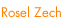 Rosel Zech